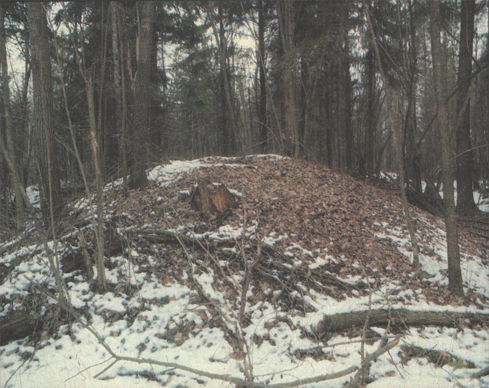 Лесной курган на территории Белоруссии. Фото в наши дни