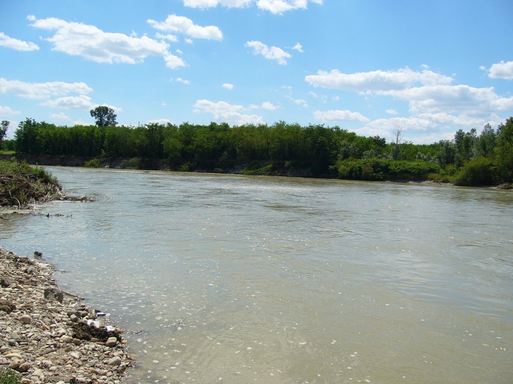 Река Арджеш в её низовьях